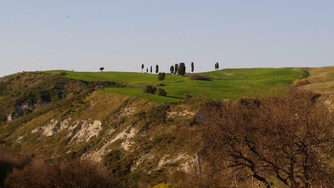 볼테라 Agriturismo La Quiete 게스트하우스 외부 사진